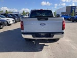 2024 F-150 Thumbnail 4