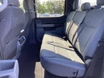 2024 F-150 Thumbnail 13