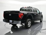 2024 F-150 Thumbnail 6
