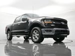 2024 F-150 Thumbnail 39