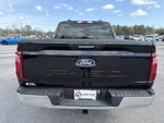 2024 F-150 Thumbnail 6