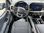 2024 F-150 Thumbnail 15
