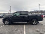 2024 F-150 Thumbnail 6