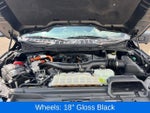 2024 F-150 Thumbnail 22