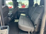 2024 F-150 Thumbnail 25