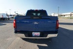 2024 F-150 Thumbnail 6