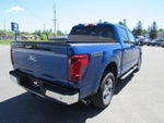 2024 F-150 Thumbnail 6