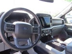 2024 F-150 Thumbnail 9
