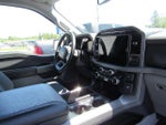 2024 F-150 Thumbnail 14