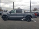 2024 F-150 Thumbnail 4