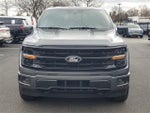 2024 F-150 Thumbnail 2