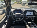2024 F-150 Thumbnail 11