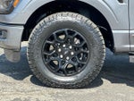 2024 F-150 Thumbnail 24