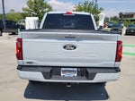 2024 F-150 Thumbnail 10