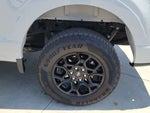 2024 F-150 Thumbnail 12