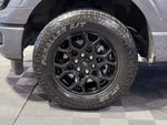 2024 F-150 Thumbnail 13