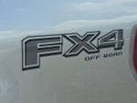 2024 F-150 Thumbnail 4