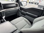 2024 F-150 Thumbnail 18