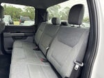2024 F-150 Thumbnail 19