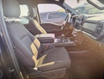 2024 F-150 Thumbnail 11