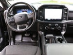 2024 F-150 Thumbnail 19