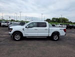 2024 F-150 Thumbnail 4