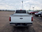 2024 F-150 Thumbnail 6