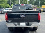 2024 F-150 Thumbnail 4