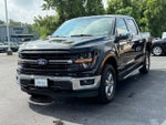 2024 F-150 Thumbnail 8