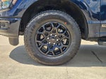 2025 F-150 Thumbnail 10