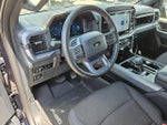 2025 F-150 Thumbnail 13