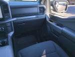 2025 F-150 Thumbnail 17