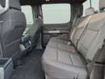 2025 F-150 Thumbnail 6