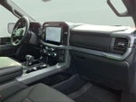 2025 F-150 Thumbnail 13