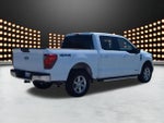 2025 F-150 Thumbnail 8