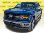 2025 F-150 Thumbnail 10