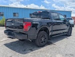 2025 F-150 Thumbnail 4