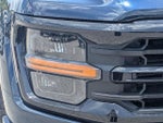 2025 F-150 Thumbnail 10