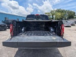 2025 F-150 Thumbnail 13