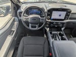 2025 F-150 Thumbnail 16