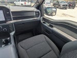 2025 F-150 Thumbnail 17
