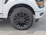 2025 F-150 Thumbnail 6