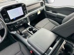 2025 F-150 Thumbnail 23