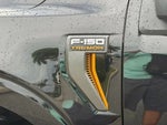 2024 F-150 Thumbnail 5