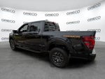 2024 F-150 Thumbnail 10