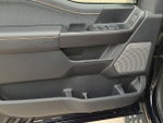 2025 F-150 Thumbnail 19