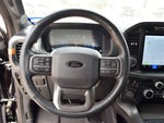 2024 F-150 Thumbnail 7