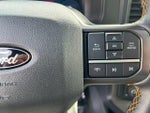 2025 F-150 Thumbnail 19