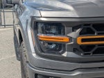 2025 F-150 Thumbnail 10