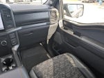 2025 F-150 Thumbnail 19